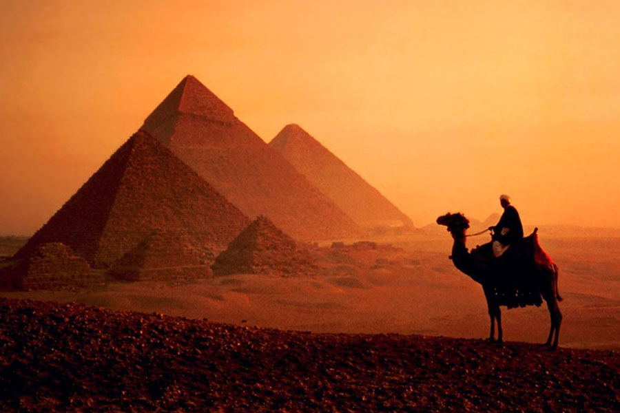 egypt-camel